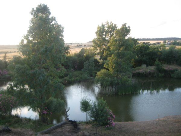 Fotos Albergue Naturacción